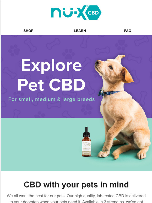 Spoil your pet with high-quality CBD