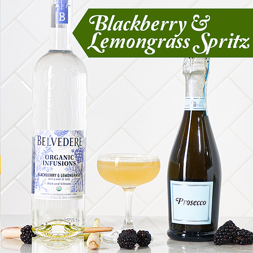 One Drink, Three Ways: Belvedere Organic Infusions — The Three Drinkers