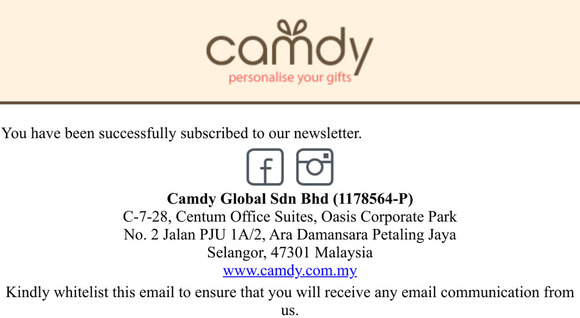 Newsletter subscription success
