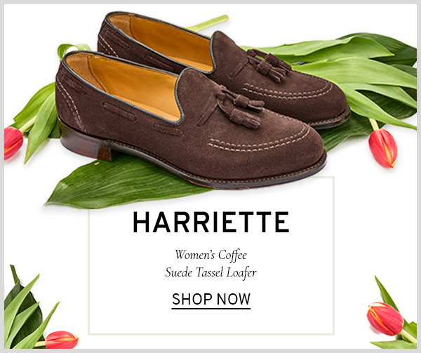 Harriette women's coffee suede tassel loafer shop now