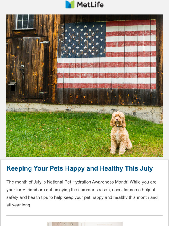 Tips and Tricks from Your Friends at MetLife Pet Insurance