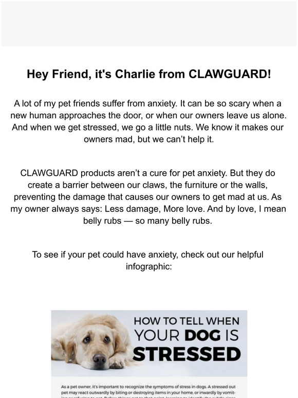 Pet anxiety is real.