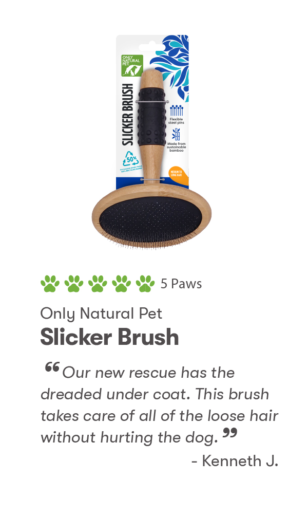 Only Natural Pet Top 10 Summer Safety Tips for Your Pets Milled