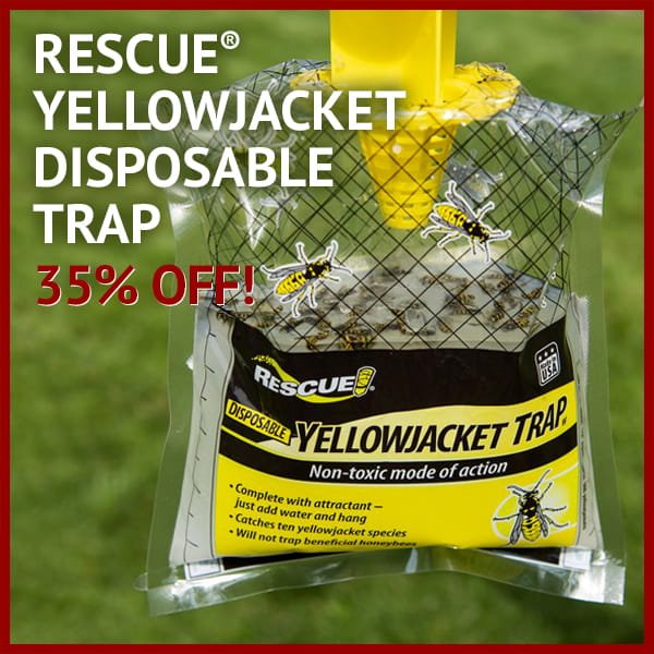 Rescue® Yellowjacket Disposable Trap