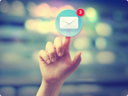 Buckle Up for Your Email Marketing Guide