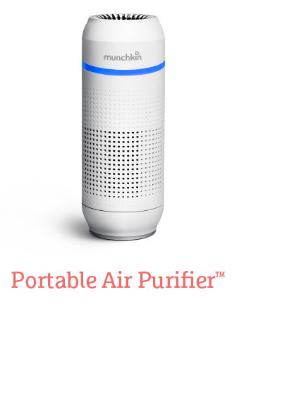 Portable air purifier