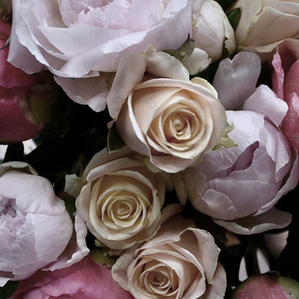 A top down view of a bouquet of cream and pink roses