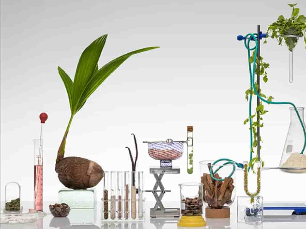 The Science Behind Your BodyFuel Milled