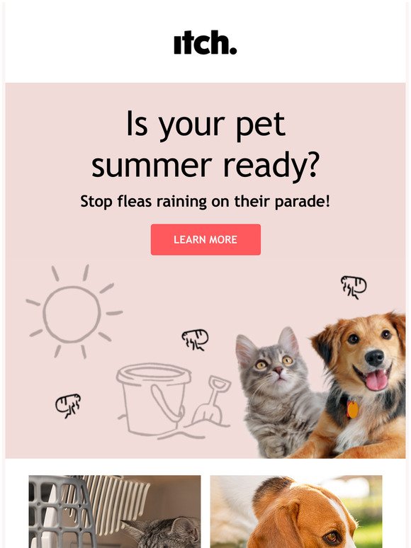 How to give your pet a summer of fun