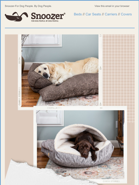 homesense dog beds