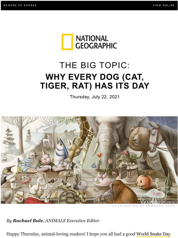 National Geographic: ANIMALS: Why does every animal have a day? | Milled