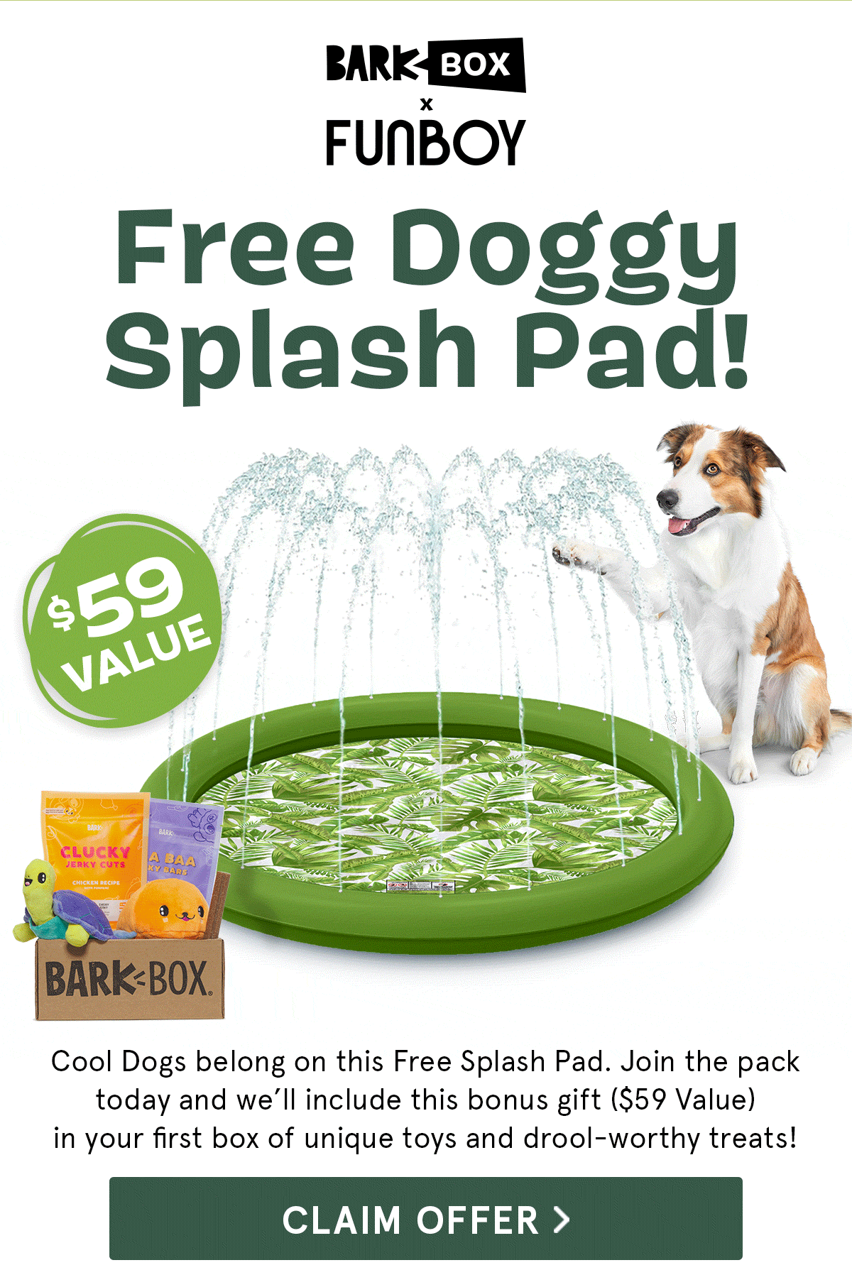 BarkBox: Keep Your Dog Cool: FREE Splash Pad