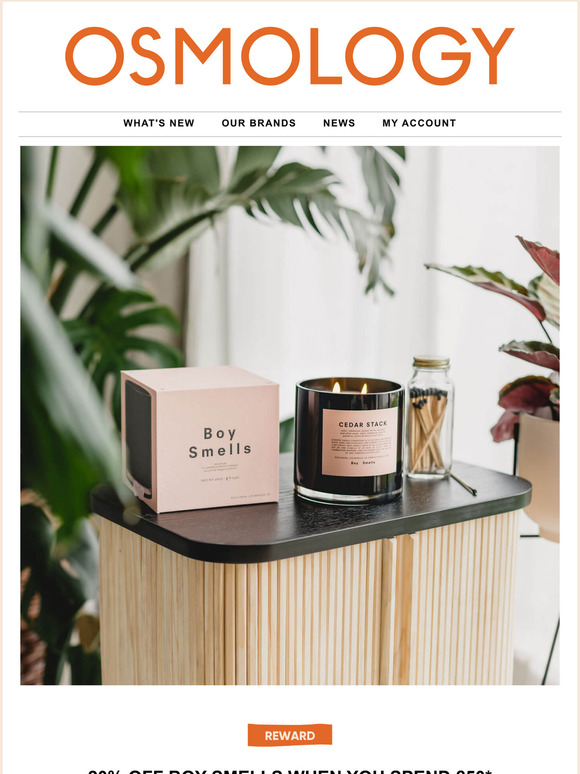 20% OFF Boy Smells is ON!