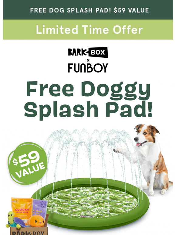  Keep Your Dog Cool: FREE Splash Pad