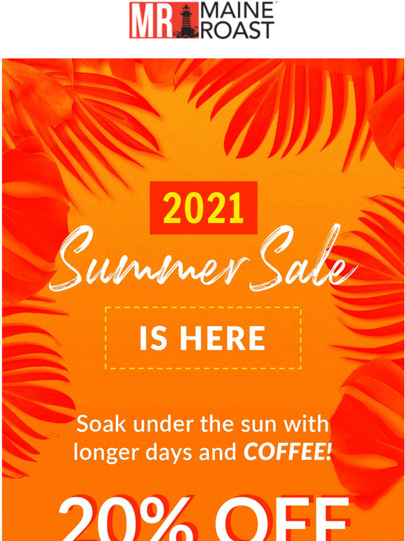 Summer Sale! 20% OFF!