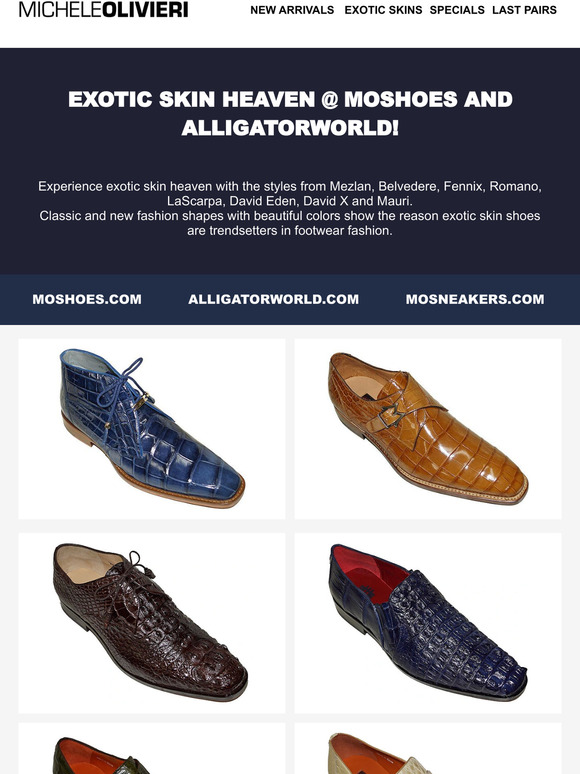 Alligatorworld shoes deals