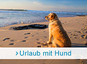 Urlaub mit Hund