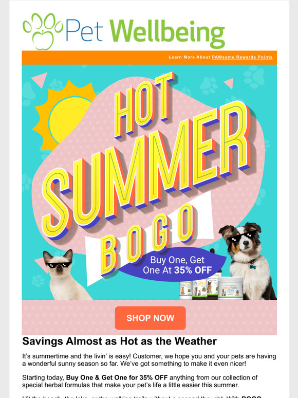 Pet Wellbeing Is your pet living their healthiest life this summer