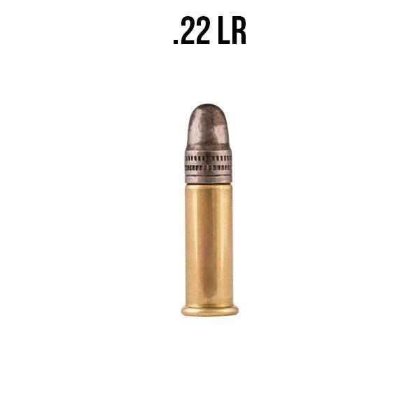 .22 LR available at Impact Guns!