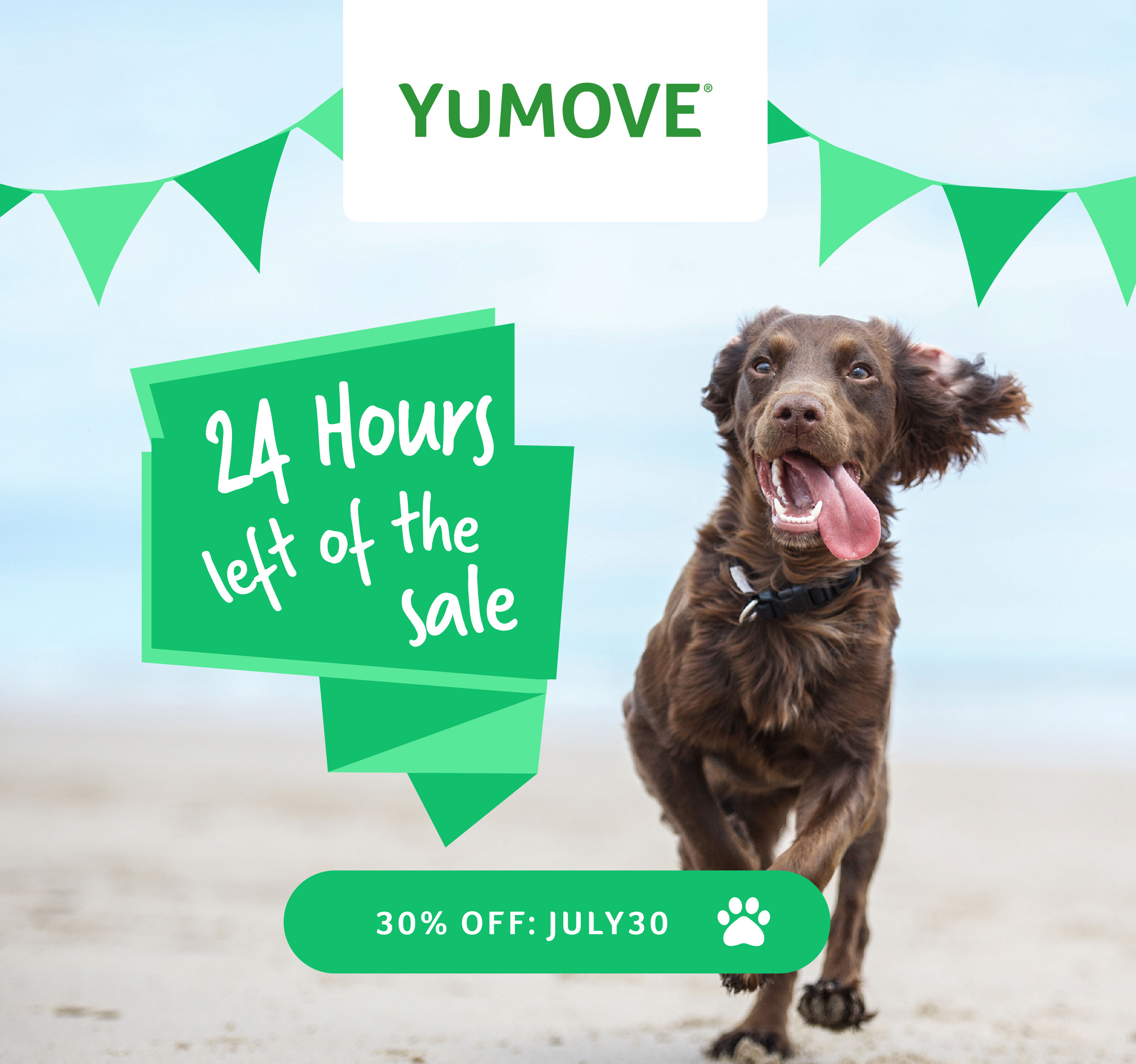 yumove 40 off