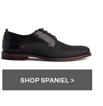 Shop Spaniel Dress Shoe