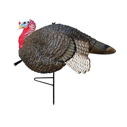 Decoys