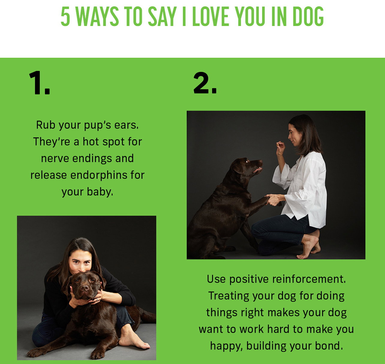 Get Joy: How to Tell Your Dog You Love Them in Dog | Milled
