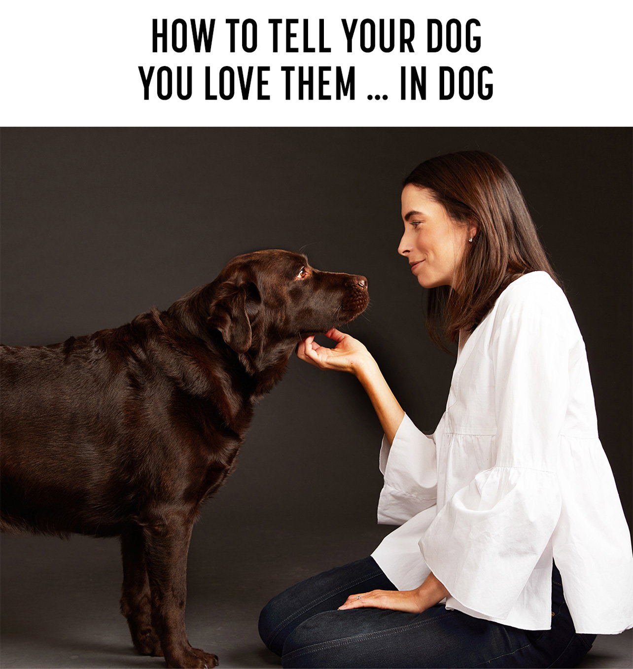 Get Joy: How to Tell Your Dog You Love Them in Dog | Milled
