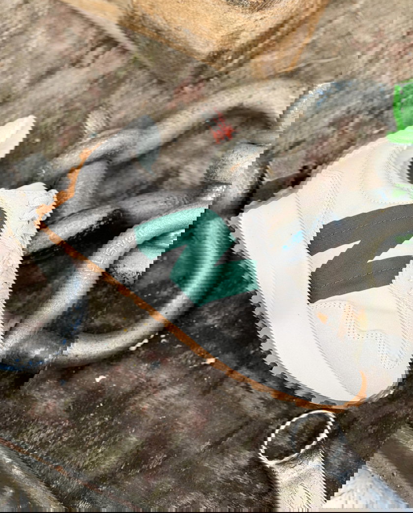 van Arendonk: Bekijk onze nieuwe New Balance collectie | Milled