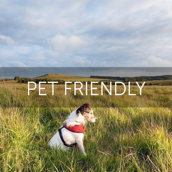 Pet Friendly
