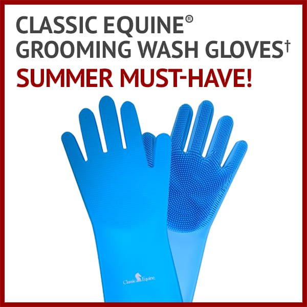Classic Equine® Grooming Wash Gloves†