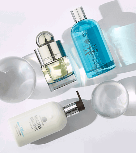 Coastal Cypress & Sea Fennel Collection