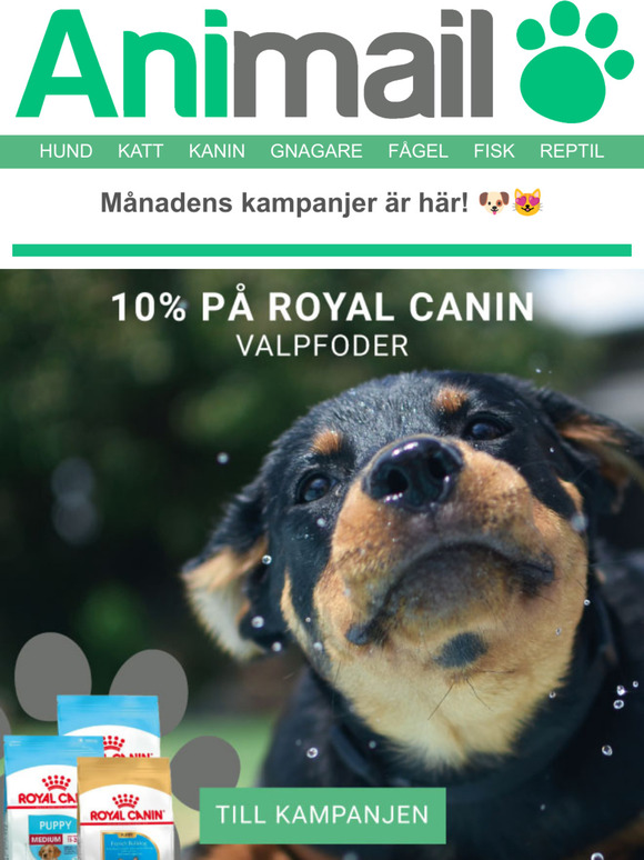 Mnadens kampanjer r hr 
