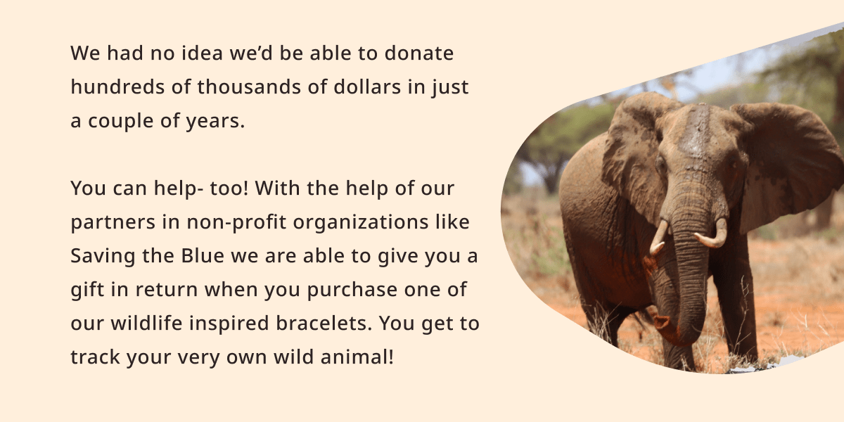 Wildlife Collections LLC Want to know more about saving wildlife? Milled