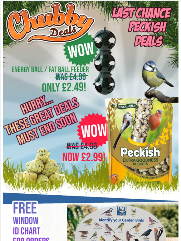 Last Chance Offers & Grab A *FREE Window ID Chart
