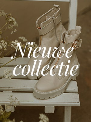 Sotheby's veilt 100 van de zeldzaamste sneakers ter wereld