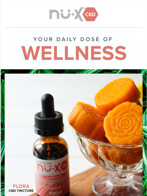 Your Daily Dose of Wellness