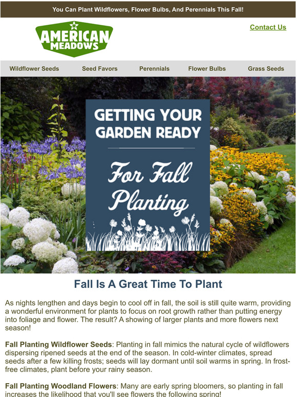 American Meadows Best Perennials For Fall Planting Milled