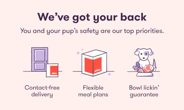 We've got your back. You and your pup's safety are our top priorities. Contact-free delivery. Flexible meal plans. Bowl lickin' guarentee.
