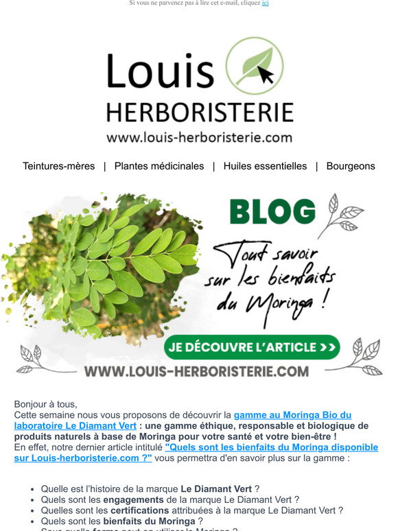 Tisane Minceur N°3 Coupe-Faim de Louis-Herboristerie