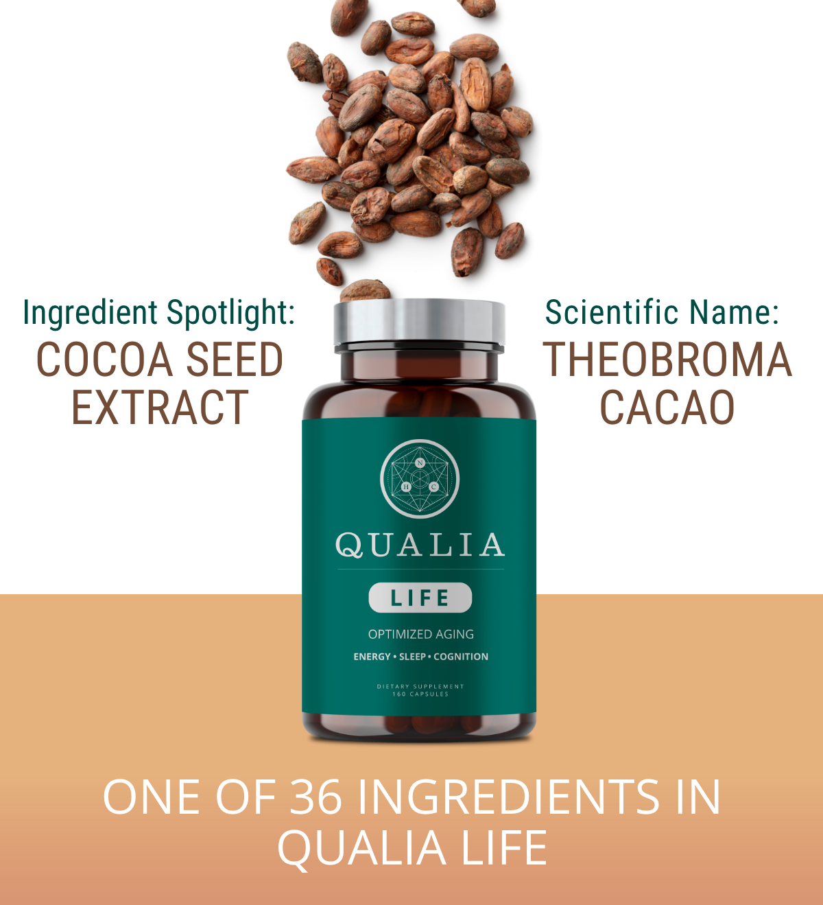 Neurohacker Collective 10 Benefits of Cocoa Seed Extract Milled