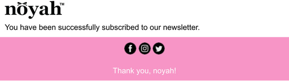 Newsletter subscription success
