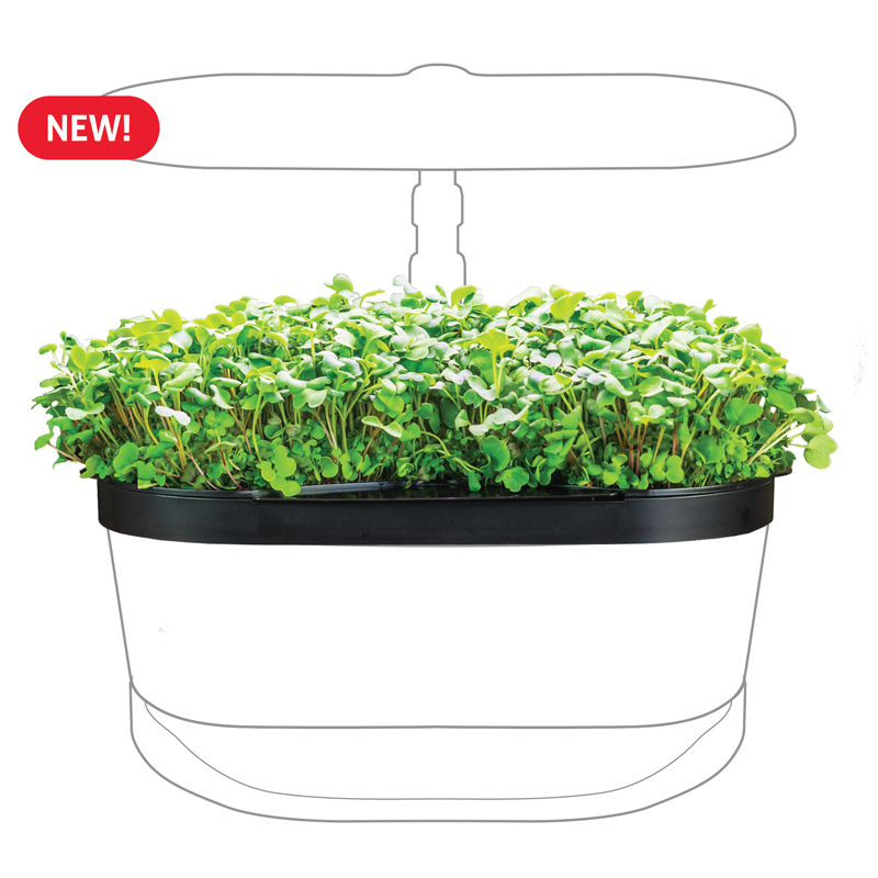 AeroGrow Introducing the All New MicroGreens Kit for Bounty & Harvest