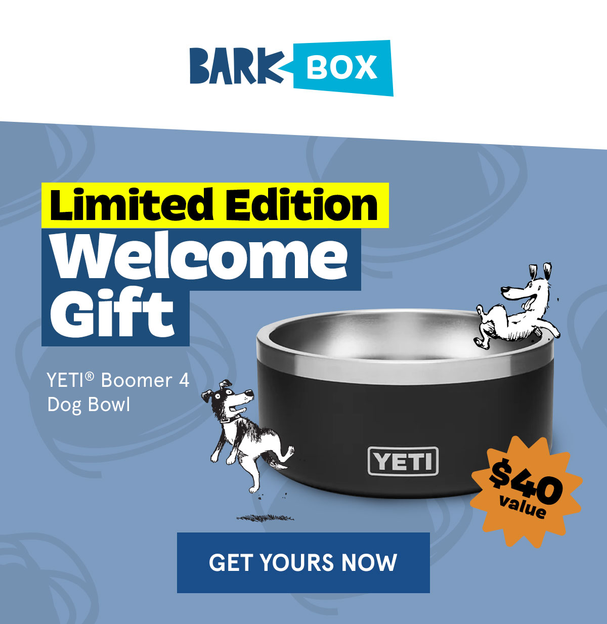 Yeti Boomer 4 Dog Bowl Ricks Saddle Shop