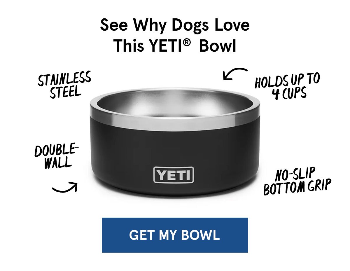 BarkBox & Super Chewer Deal: FREE Yeti Dog Bowl With First Box of
