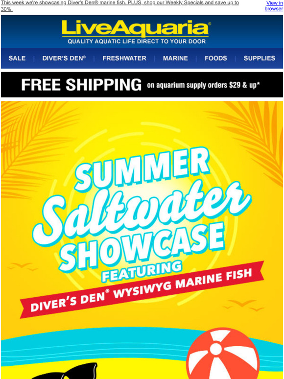 LiveAquaria Saltwater Showcase Week 1 Featuring Diver