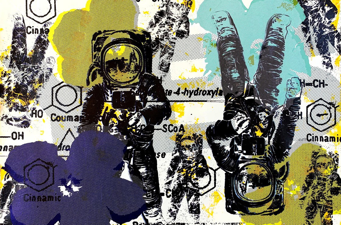 CONTEMPORARY TAKES: Inspired by Andy Warhol | View the Collection