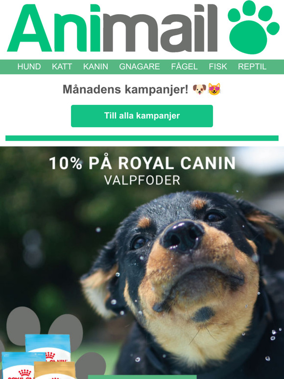 Missa inte mnadens kampanjer 
