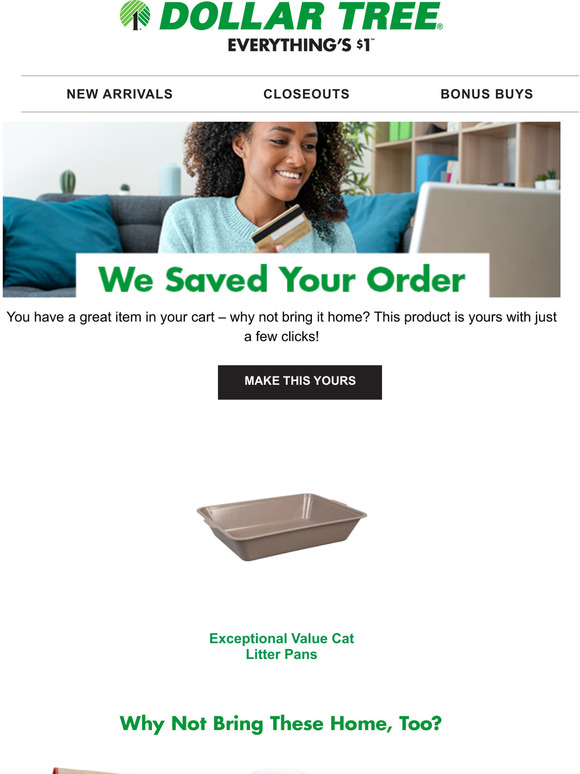 Dollar Tree Your Exceptional Value Cat Litter... Is Waiting For You