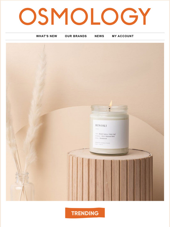 Our Most Popular New Scent Releases